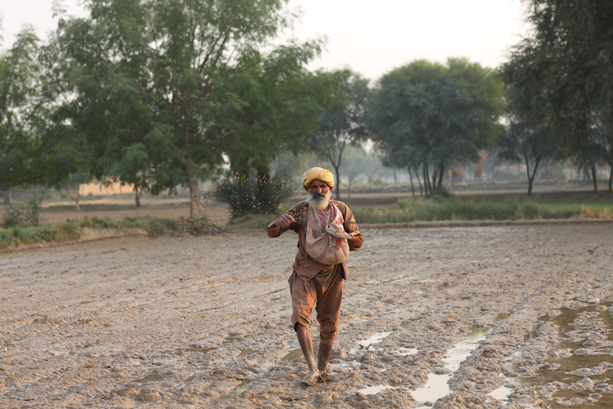 Envoirment & Natrual Resource Mitigation Programme